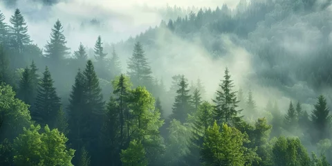 Tuinposter beautiful view ofer a foggy forest from hill © David Kreuzberg
