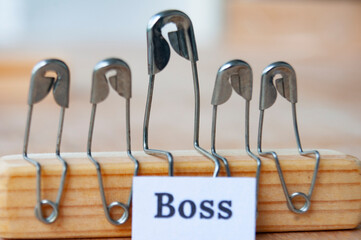 A leader or a boss is sitting with his or her followers or staff. Leadership concepts.