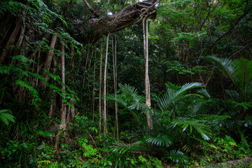 集落の聖地 © KOSAC