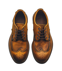Brown leather shoes  isolated