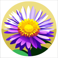 Fototapeta premium Beautiful aster flowers bloom elegantly in nature's embrace.