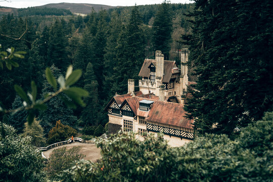 Views of the forest and Cragside house in Northumberland