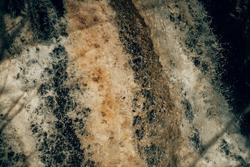 Waterfalls and nature at Ingleton Waterfall Trail in Yorkshire