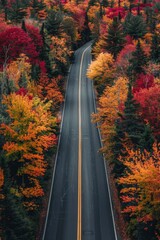 Breathtaking road surrounded by beautiful and colorful autumn trees
