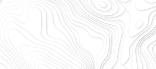 Abstract white luxury paper cut banner concept .abstract wavy line 3d paper cut white background texture .white wave paper curved reliefs background design . - obrazy, fototapety, plakaty