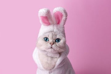 Fototapeta premium Funny white cat in a hat with bunny ears, in a white coat, on a pink background,close up