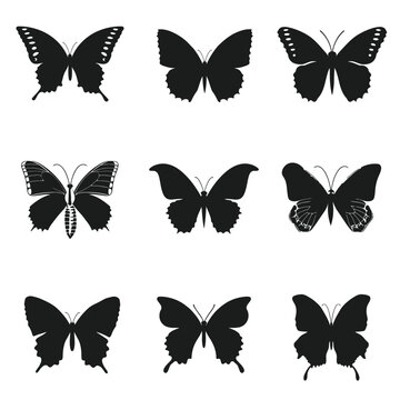 butterfly  silhouette vector set design