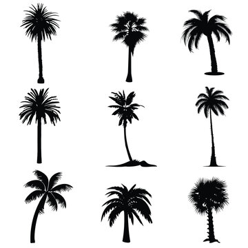 coconut tree silhouette vector set design	
