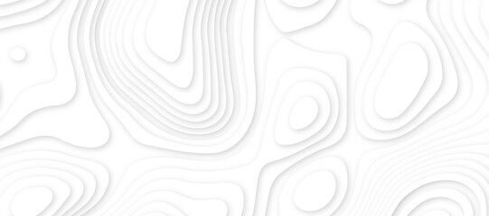 Abstract white luxury paper cut banner concept .abstract wavy line 3d paper cut white background texture .white wave paper curved reliefs background design .