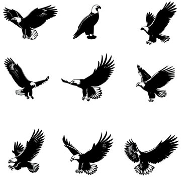 set of eagle silhouettes , set of birds silhouette .	
