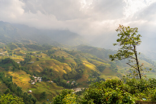 Scenic Sapa rice terraces with partial sun beams on a cloudy day
