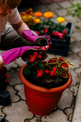 One person with gloves doing gardening