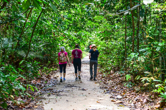 MacRitchie Reservoir Park in Singapore