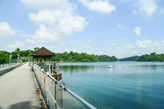 MacRitchie Reservoir Park in Singapore