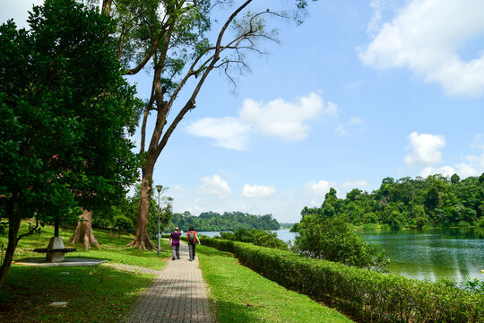 MacRitchie Reservoir Park in Singapore