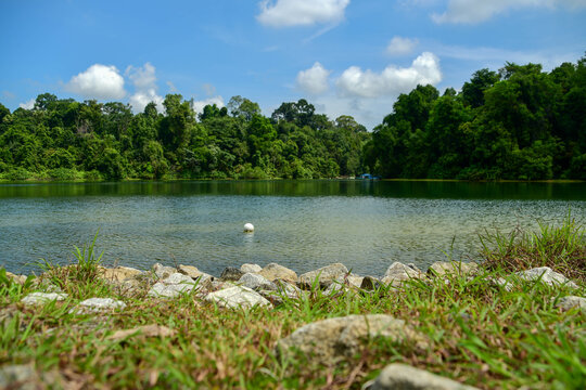MacRitchie Reservoir Park in Singapore