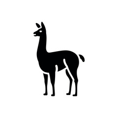 lama animal icon of South America
