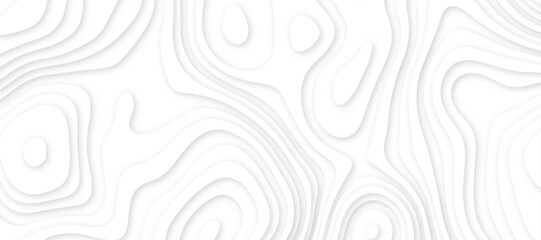 Abstract white luxury paper cut banner concept .abstract wavy line 3d paper cut white background texture .white wave paper curved reliefs background design .