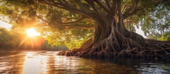 A large tree with green leaves is growing by a river - obrazy, fototapety, plakaty