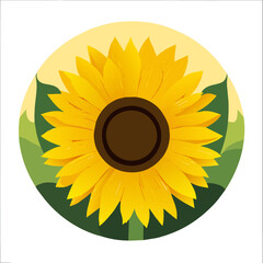 Sunflowers in a field, their bright yellow petals reaching towards the sun.