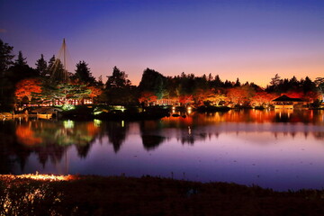 国営昭和記念公園のライトアップされた日本庭園と紅葉の夕景