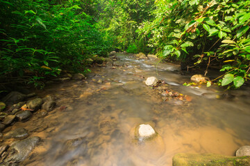 small river in a tropical forest, Lampung indonesia. Pure nature, ecology, seasons, environmental conservation in Asia.