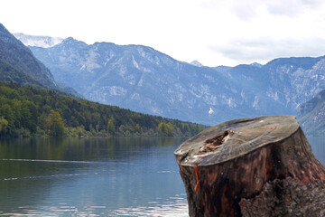 Bohinj lake in Slovenia, Europe.