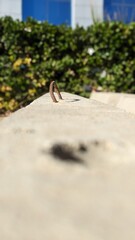 A metal hook in a stone