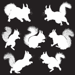 seven squirrels isolated on black background - 760442760