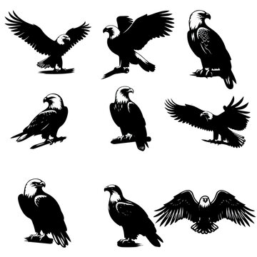 set of eagle silhouettes , set of birds silhouette , eagle silhouette
