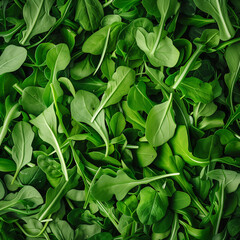 photo of green leaves of fresh arugula top view 03