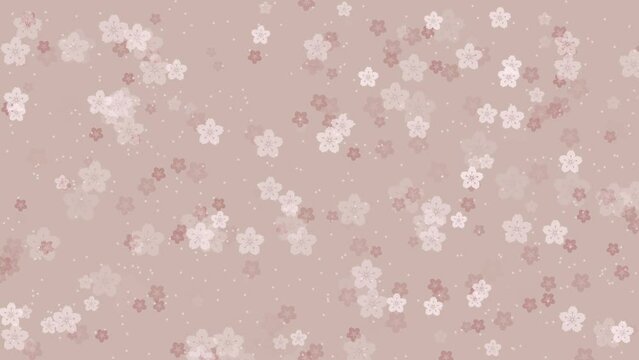 Abstract floral pattern motion background with animated bright sakura flowers cherry blossoms falling against tender beige backdrop. Elegant pastel color animation for japanese or springtime concept.