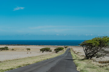 South Point Road, Big island, Hawaii. Ka Lae. Prosopis pallida is a species of mesquite tree. kiawe. huarango (in its native South America) and American carob. Neltuma pallida