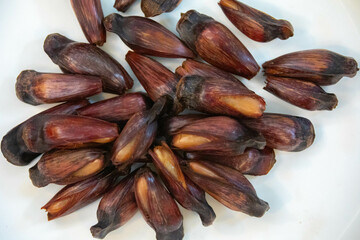 Ripe pine nuts, fruits of the Brazilian tree Araucaria angustifolia