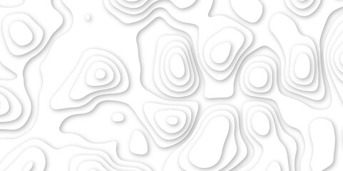 3d render, abstract white paper background. Paper cut vector art background banner texture. multi layer cutout geometric pattern on vector, Abstract soft white background with waves. 