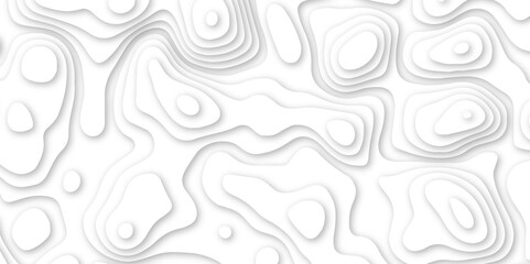 3d render, abstract white paper background. Paper cut vector art background banner texture. multi layer cutout geometric pattern on vector, Abstract soft white background with waves. 