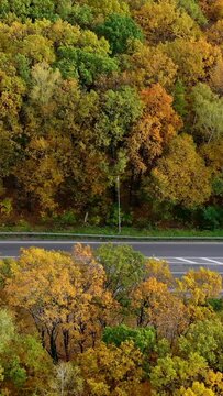 Highway in the forest. Cars moving on a road on colorful trees background. Transport on a road among beautiful autumn forest. Camera moves to the right. Vertical video