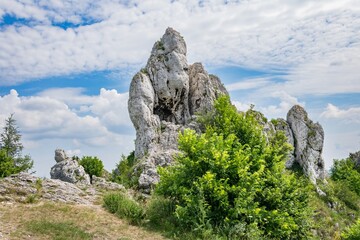 Wapienne skały, Jura Krakowsko-Częstochowska, Ogrodzieniec