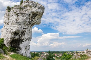 Wapienne skały, Jura Krakowsko-Częstochowska, Ogrodzieniec - obrazy, fototapety, plakaty