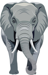Illustration of a detailed, front-facing elephant with tusks