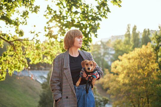 Owner walking with dog together in park outdoors, summer vacation, Adorable domestic pet concept, Friendship between human and their pet. Dachshund in sweater High quality photo