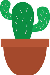 Cactus plant illustration