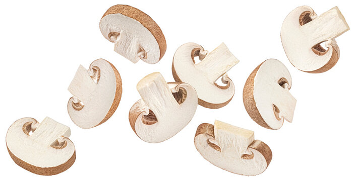 Brown champignon mushroom slices isolated on white background, full depth of field