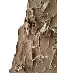 Cat scratched cardboard
