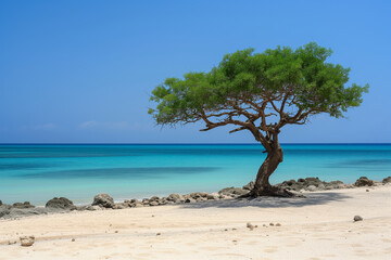Fototapeta na wymiar Unique Flora of Socotra: Majestic Tree from the Enigmatic Island