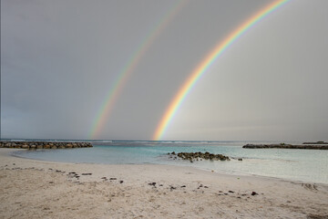 Caribbean dream beach with palm trees, white sandy beach and turquoise, crystal clear water in the...