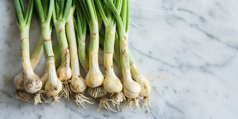 Fresh green sweet Garleek  on a marble surface.