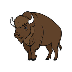 American Strong Buffalo, Bison Illustration, vector