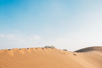 Fototapeta na wymiar thar desert is claimed destination for a camel safari that is close to jaisalmer city, india