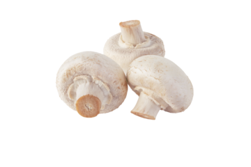 White champignons mushrooms isolated transparent png. Agaricus bisporus. Three raw button mushrooms.